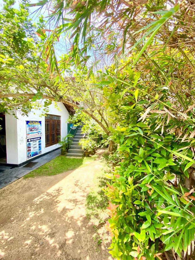 Coconut Reach Hotel Mirissa Bagian luar foto