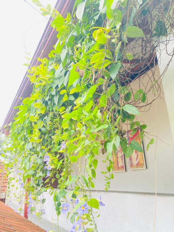 Coconut Reach Hotel Mirissa Bagian luar foto