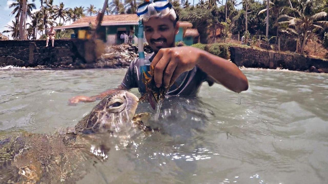 Coconut Reach Hotel Mirissa Bagian luar foto
